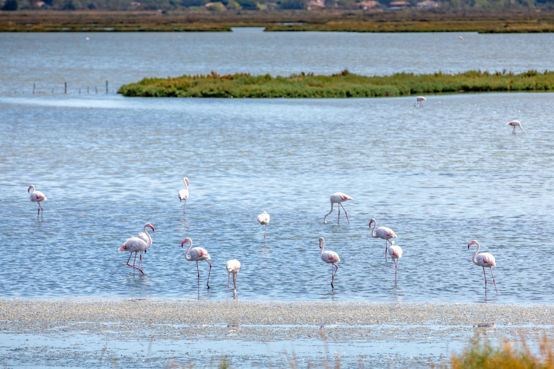 Scopri Comacchio & il Delta del Po